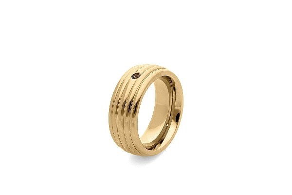 Qudo Basisring SANZA INTERCHANGEABLE Q681331